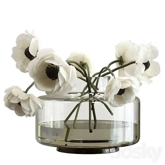 Bouquet of anemones 