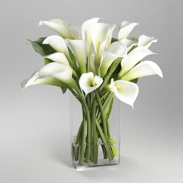 Bouquet of white calla lilies 
