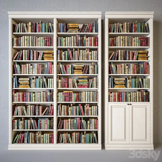 Cabinets with classical books (dark and light wood) 