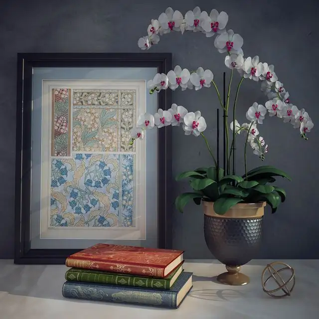 Decorative set (with old books) 