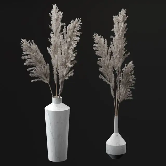 Pampas bouquets 