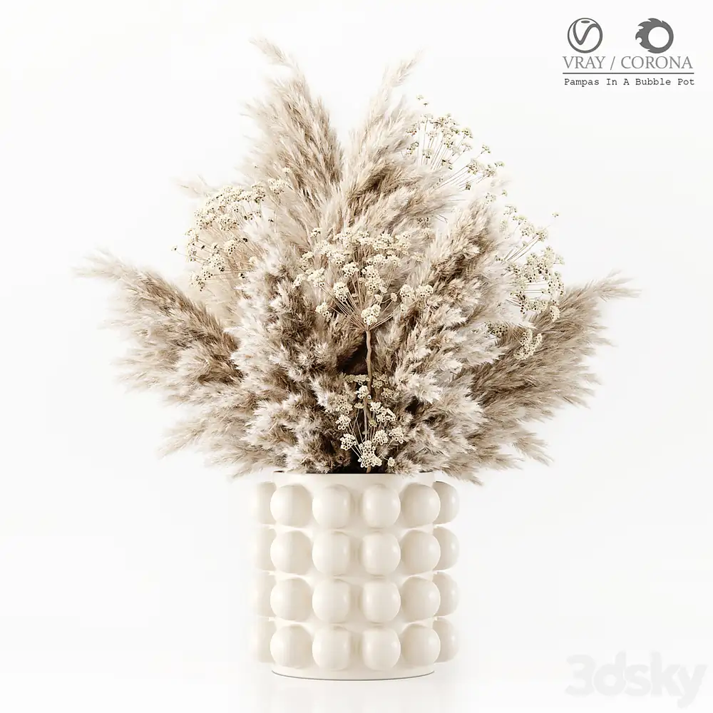 Pampas In A Bubble Pot 